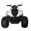 elektro kinderquad-2