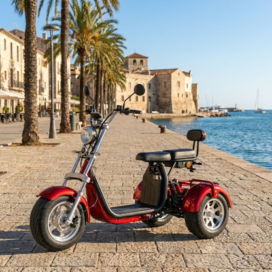 Coco Bike E-Scooter mit Straßenzulassung und drei Räder Trike ca. 70km Reichweite, 60V | 2000W | 40AH Akku – Bild 3