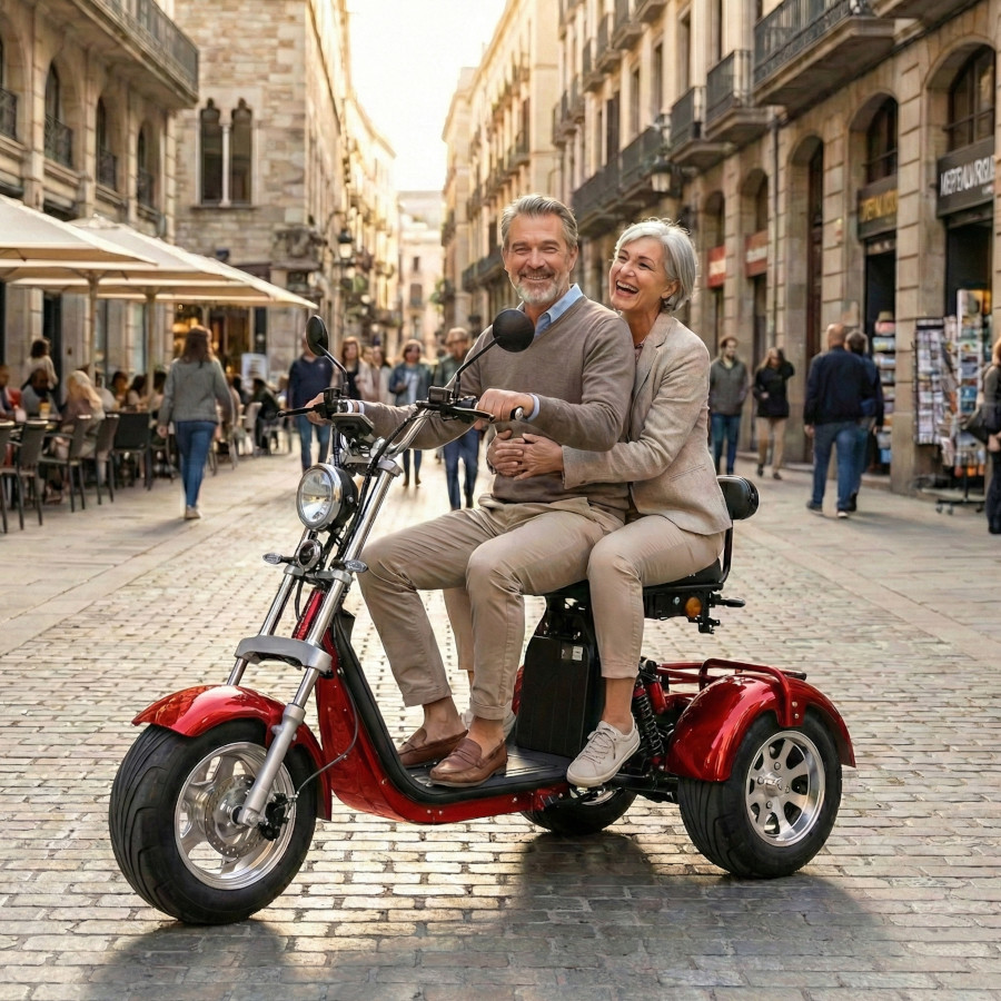 Coco Bike E-Scooter mit Straßenzulassung und drei Räder Trike ca. 70km Reichweite, 60V | 2000W | 40AH Akku – Bild 6