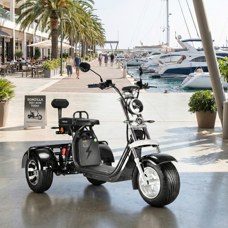 Coco Bike E-Scooter mit Straßenzulassung und drei Räder Trike ca. 70km Reichweite, 60V | 2000W | 40AH Akku – Bild 2