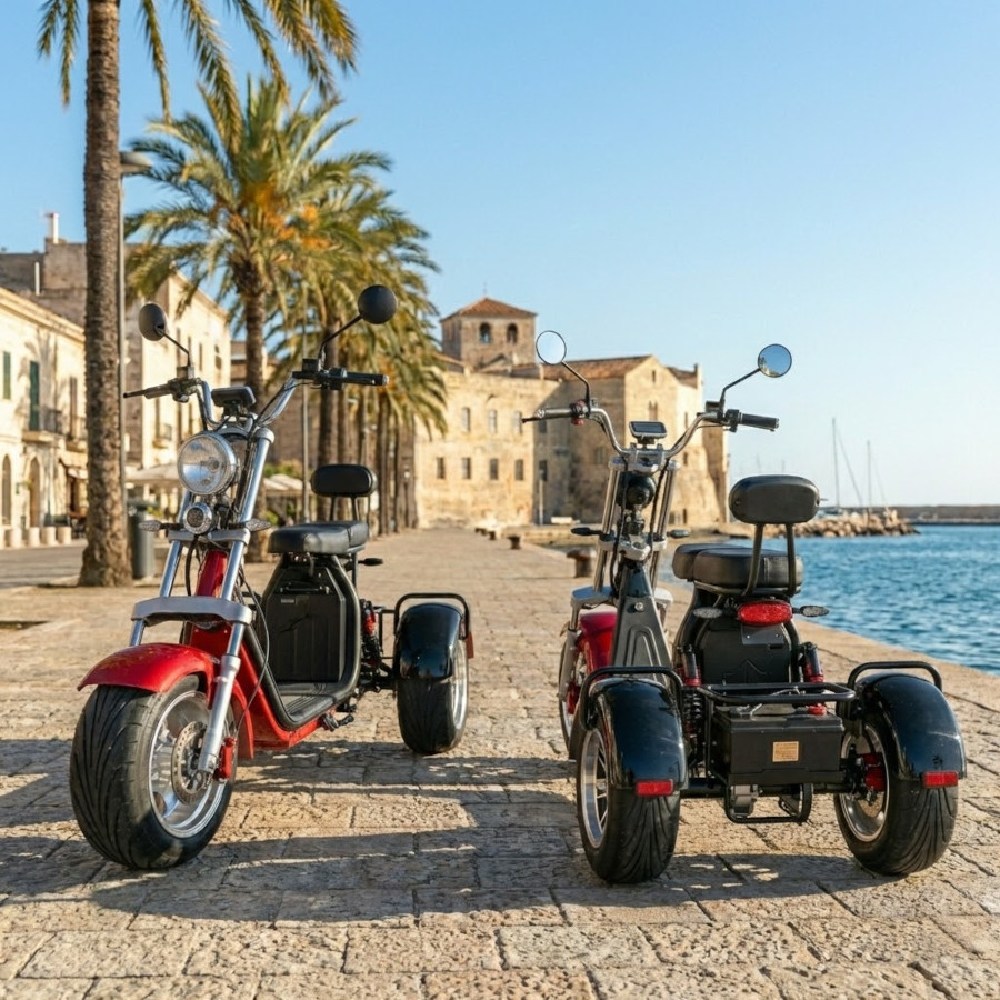 Coco Bike E-Scooter mit Straßenzulassung und drei Räder Trike ca. 70km Reichweite, 60V | 2000W | 40AH Akku – Bild 15