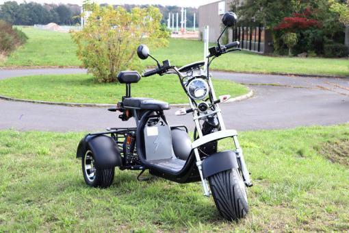 Ersatzteil: Mainboard/Elektronik für Coco Bike - Trike CP3 - 60V – Bild 3