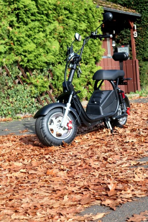 Coco Bike E-Scooter mit Straßenzulassung CP5.1 - ca. 45km Reichweite | 60V | 20AH Akku – Bild 3