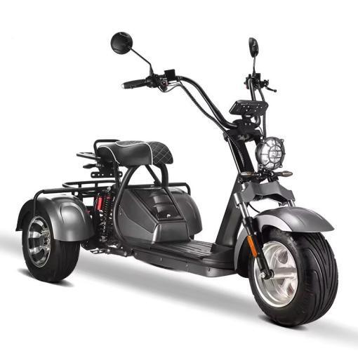 Coco Bike E-Scooter mit Straßenzulassung und drei Räder Trike ca. 40km Reichweite, 60V | 2000W | 20AH Akku -HM-3