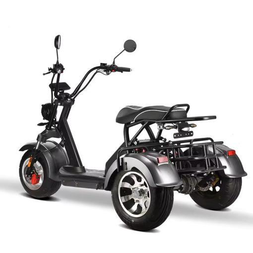 Coco Bike E-Scooter mit Straßenzulassung und drei Räder Trike ca. 40km Reichweite, 60V | 2000W | 20AH Akku -HM-3 – Bild 2