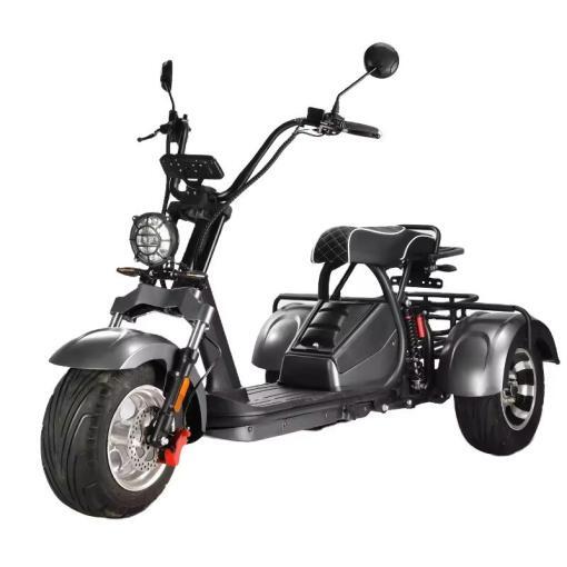 Coco Bike E-Scooter mit Straßenzulassung und drei Räder Trike ca. 40km Reichweite, 60V | 2000W | 20AH Akku -HM-3 – Bild 5