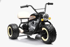 Kindermotorrad Elektrisch 2x800W Brushless Motoren - 24V7A - Schwarz